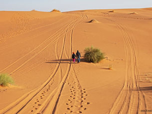 Livro que une literatura e fotografia é projeto dos fotógrafos Guto Alminhana e Iara Tonindandel