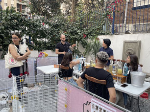 Evento de coquetelaria tem renda 100% revertida à causa animal