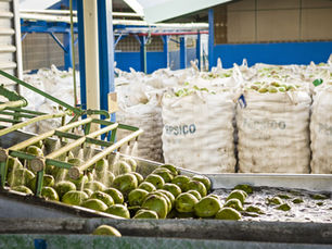 PepsiCo investe em projeto que pode economizar 3 milhões de litros de água ao ano