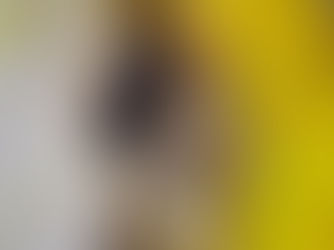 Marcos Amaro exibe mostra inédita na Luis Maluf Art Gallery