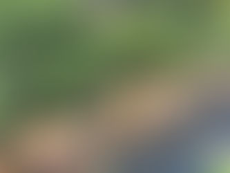 Comunidade promove piquenique no Largo do Arouche para fortalecer ocupação cidadã do espaço