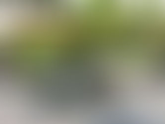 Os Guaimbês: o rooftop da nova edição da mostra Artefacto Beach Country assinado pelo KalilFerre Pai