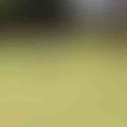 San Roque Golf Club Cadiz Andalusia Spain