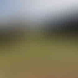 La Cala Golf America Course golf course review Costa del Sol Mijas Andalusia Spain