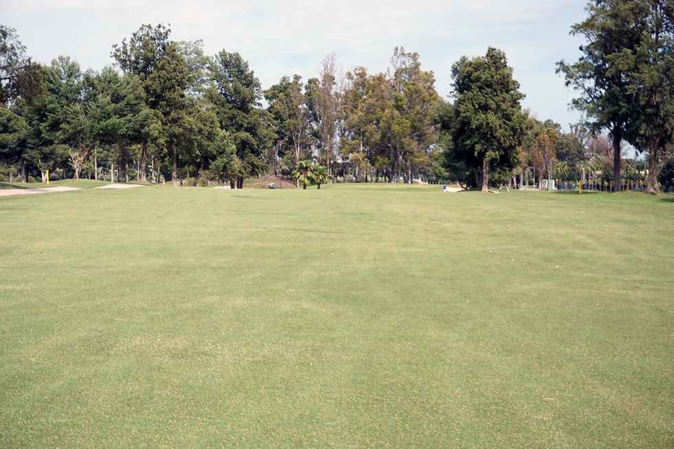 The Best Golf Courses for Beginners Around Marbella