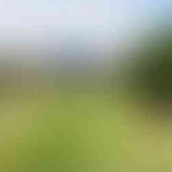 Villa Padierna Alferini Golf Course Andalusia Costa del Sol Spain