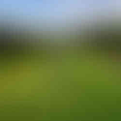 Villa Padierna Alferini Golf Course Andalusia Costa del Sol Spain