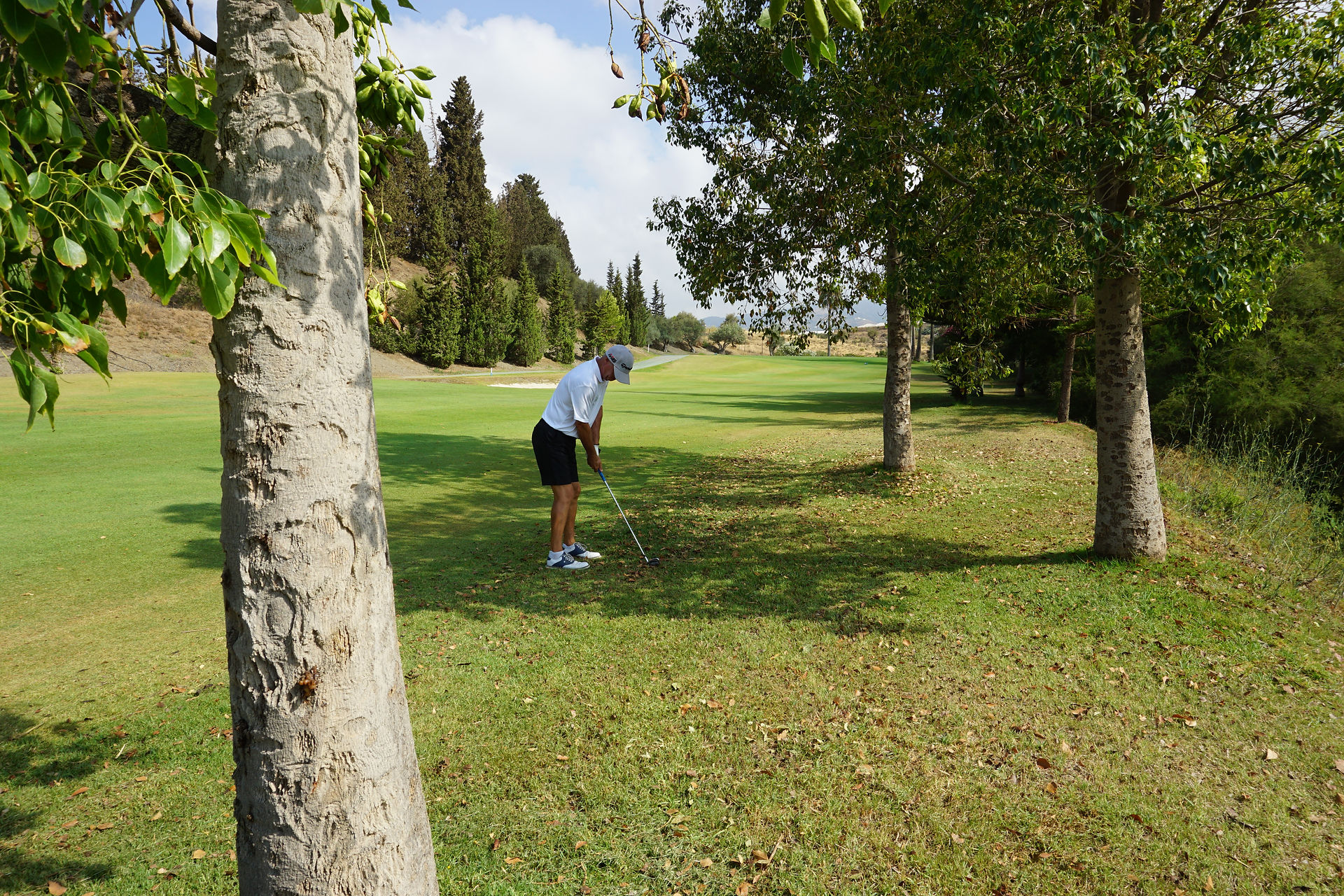 baviera golf course malaga andalusia costa del sol