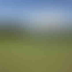 Almenara Golf Club Playing Guide and Review Sotogrande Cadiz