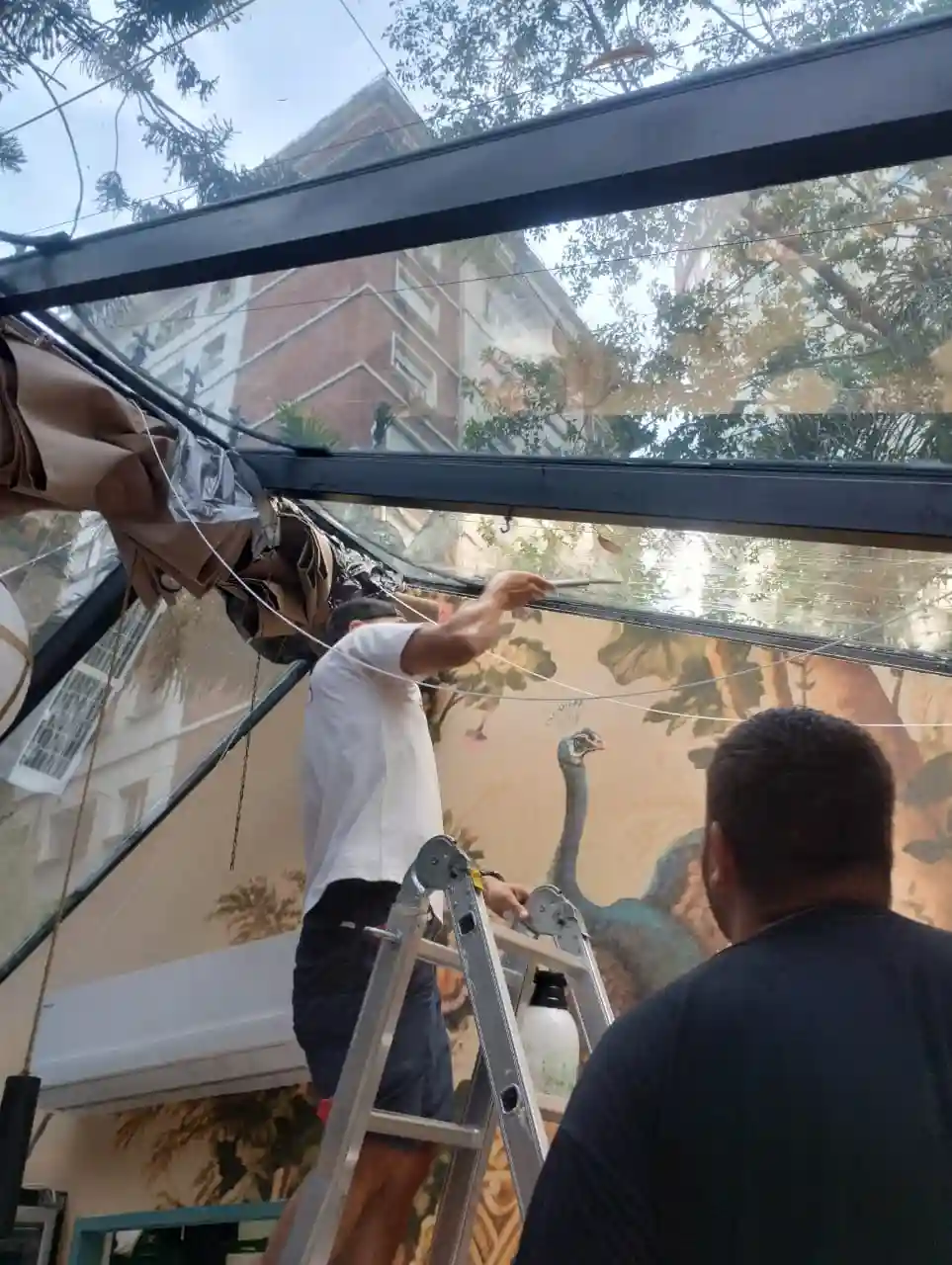 Instalador preparando la colocación de lámina polarizada.