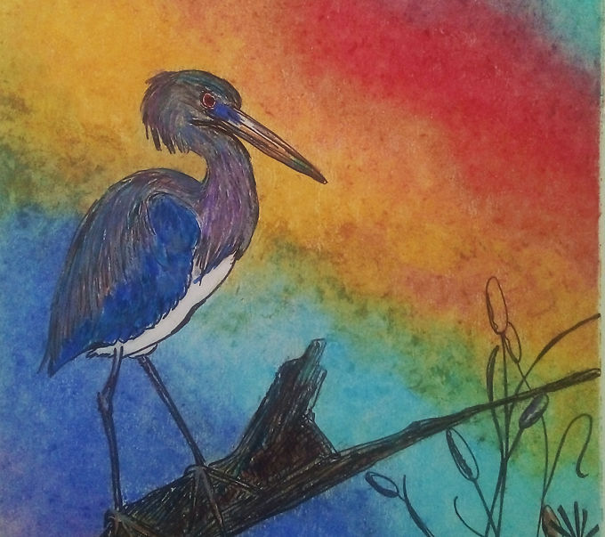 Draw-by-AMI-BIRD-aigrette_2024-06-10-1.jpeg