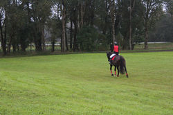 Photo by Gerda Musta