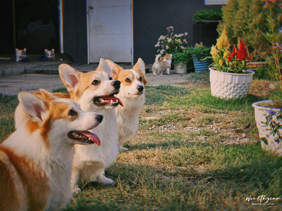 481262893_1670203337254109_6028772933059432992_n