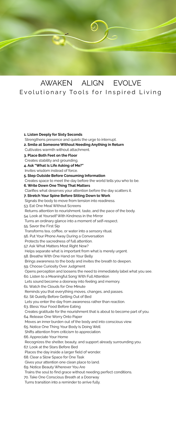 Copy of Your paragraph text (1).png