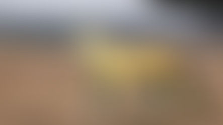 【Pets & Animals English - 33】How We Domesticated Cats (Twice) 我們是如何馴養貓咪的(兩次)