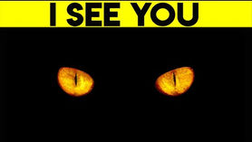 【Pets & Animals English - 41】How do animals see in the dark? ( 動物在黑暗中如何看待？)