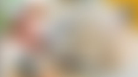 【Pets & Animals English -13】Don't Wake Up the Wombat?!  ( 別把晝伏夜出的袋熊從睡夢中吵醒 )