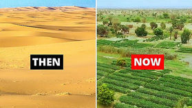 【Nature English - 32】A Way to Restore Earth's Biodiversity From the Air (恢復地球生物多樣性的新方法)