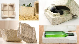 【Technology English - 41】Could Mushrooms Be Key To Replacing Plastic? ( 蘑菇是否是取代塑膠的關鍵？) 