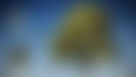 【Nature English - 33】How to put a price on nature ( 如何对自然定价 )