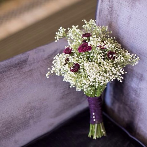 11098316_1490674104563063_1183545846_n