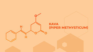 What is Kava?