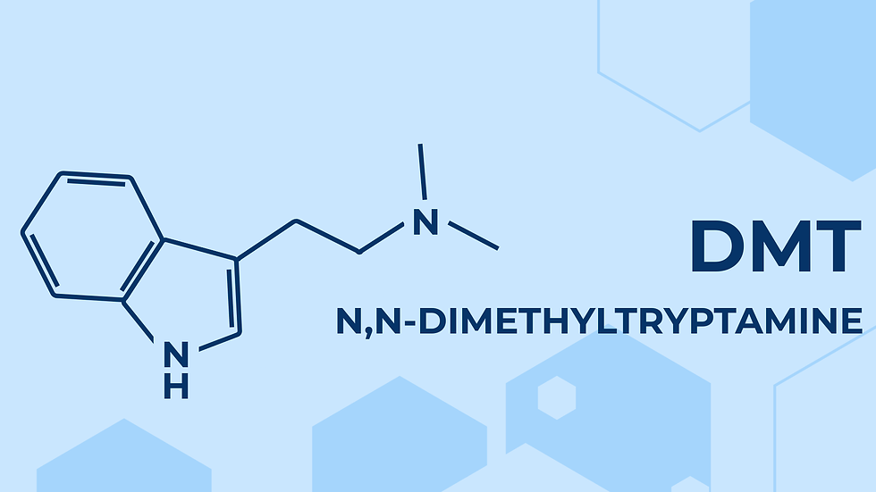 DMT edited.png