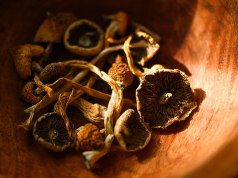 Mapping Public Attitudes Toward Psychedelics: Insight from the RAND Study