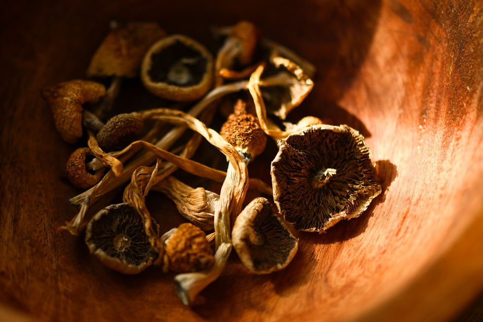 Mapping Public Attitudes Toward Psychedelics: Insight from the RAND Study