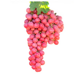 Captura de Pantalla 2020-07-06 a la(s) 1