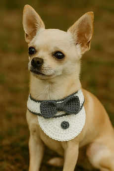 WhatsApp Image 2025-08-03 at 01.02.09.jpeg