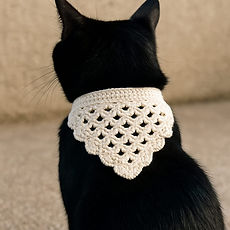 WhatsApp Image 2025-08-03 at 01.06.36.jpeg