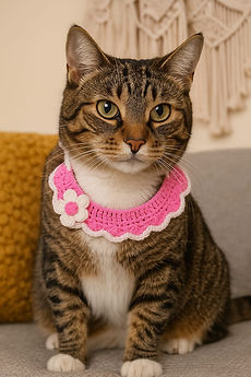 WhatsApp Image 2025-08-03 at 00.33.35.jpeg