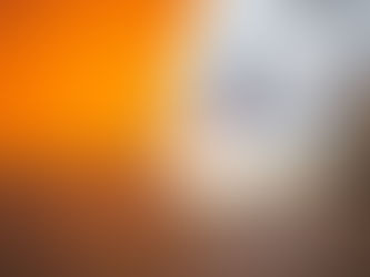 States Actively Working to Reform Health Care