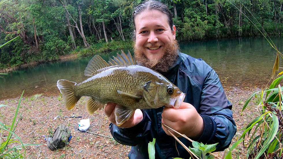 Australian Bass (The Fishing Finatic Blog)