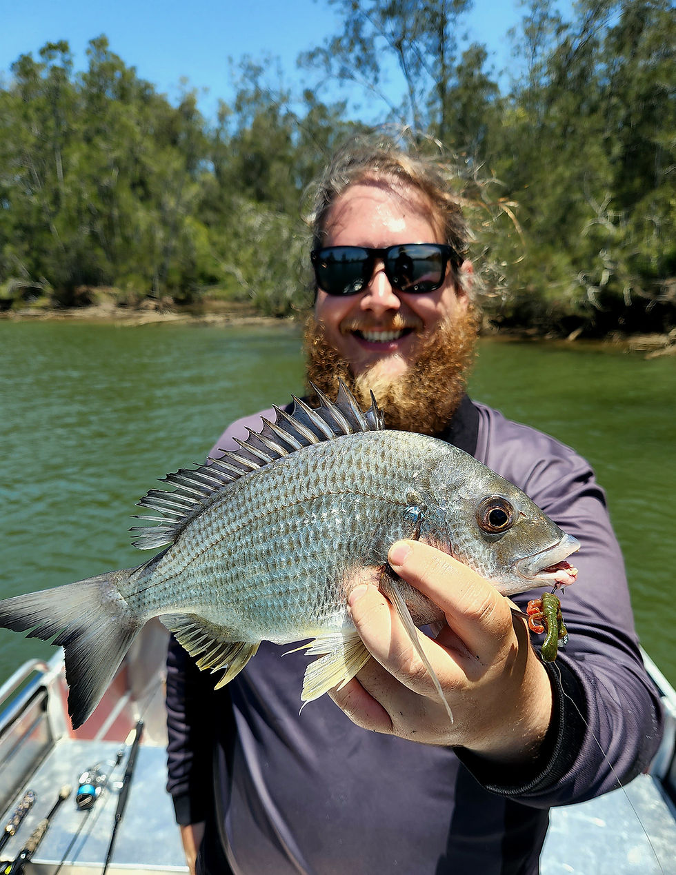 Bream (The Fishing Finatic Blog)
