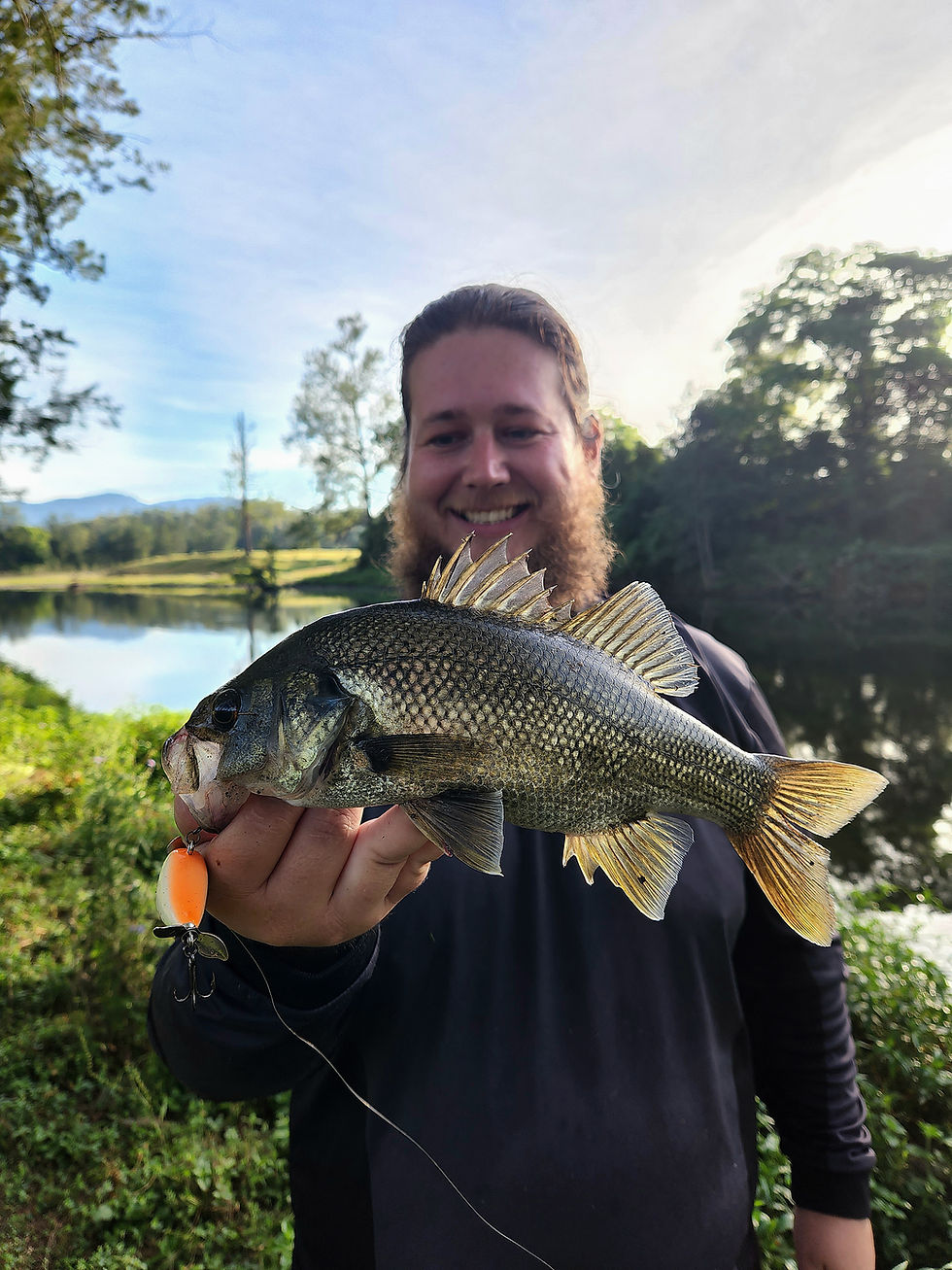 Australian Bass (The Fishing Finatic Blog)