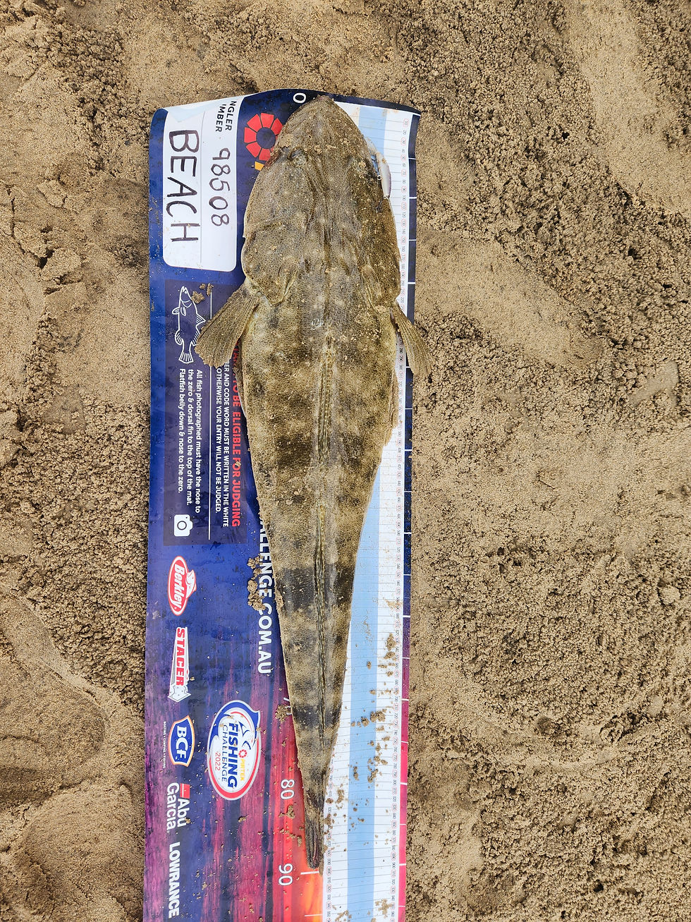 90cm Dusky Flathead (The Fishing Finatic Blog)