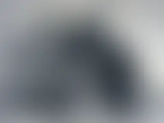 21 de Julio: Día Mundial del Perro