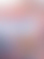 4月限定オプション