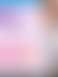 2月限定オプション