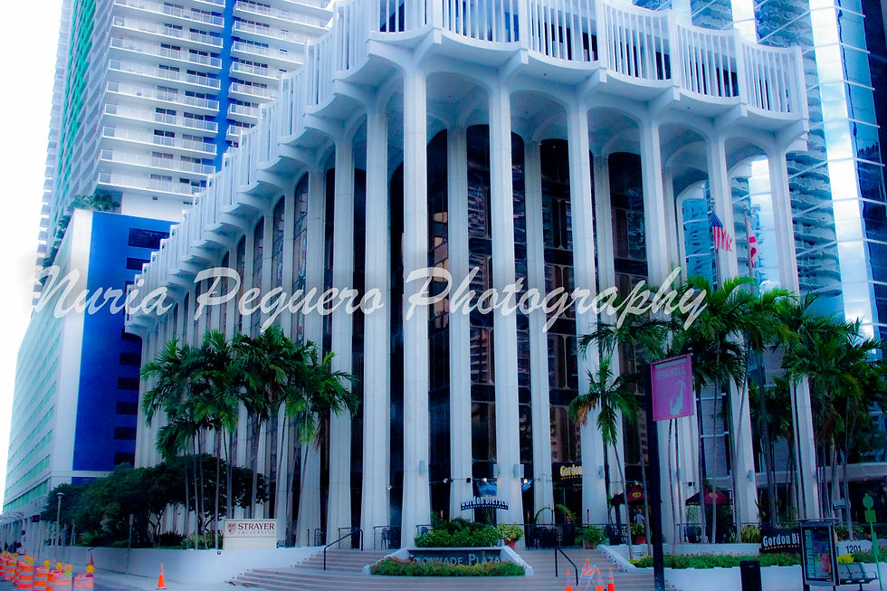 IMGP3950.jpg