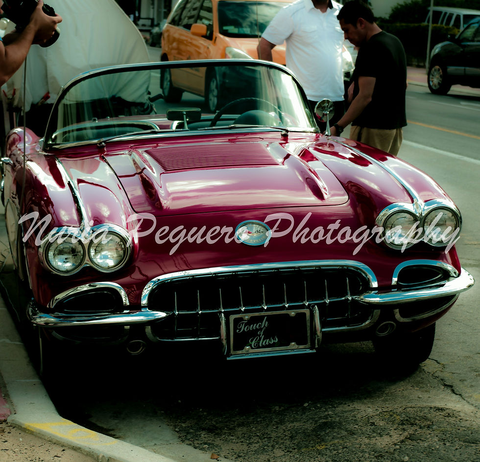 IMGP4105.jpg