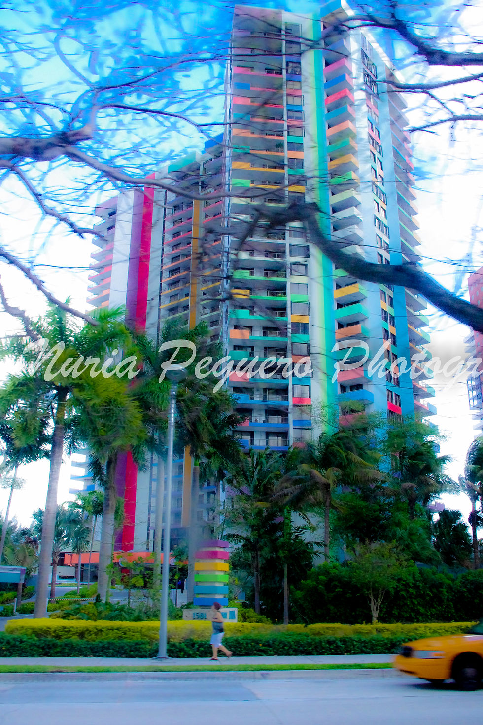 IMGP3956.jpg