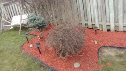 13112548_10153706182278722_2016838882_o