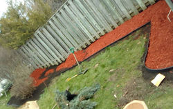 13090199_10153705791543722_1086804702_n