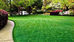 Basic Lawn Care Tips