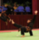 250px-Silat.jpg