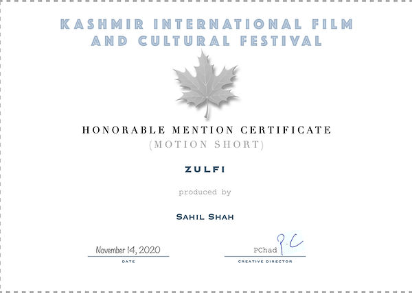 4.15 Honorable Mention - Zulfi.jpg