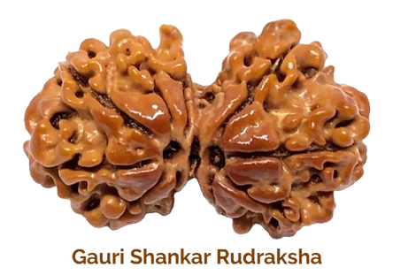 gaurishankar_edited.png